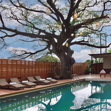 Bamboori Boutique Resort Chiang Mai Luaran gambar